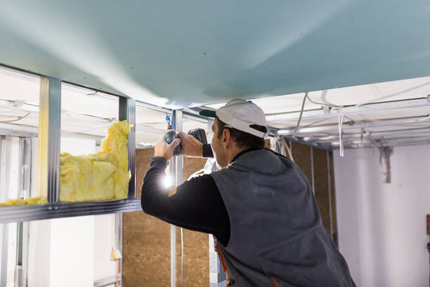 Types of Insulation We Offer in Mukilteo, WA