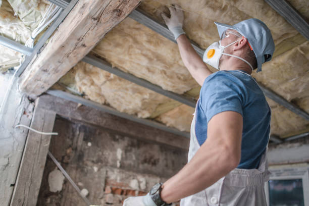 Professional Insulation Contractor in Mukilteo, WA