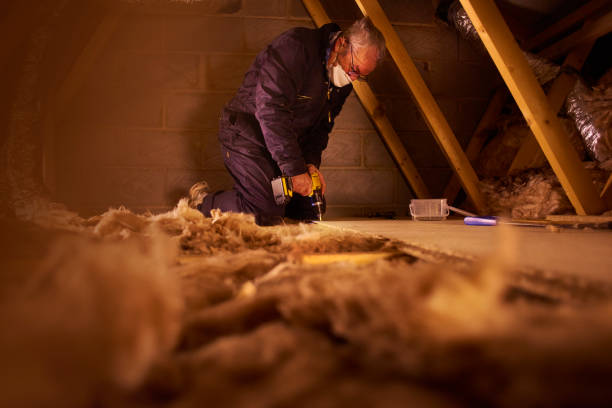 Best Cellulose Insulation in Mukilteo, WA